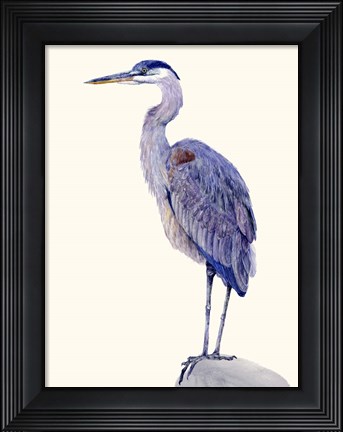 Framed Heron Study I Print