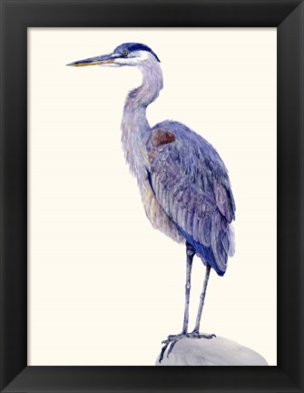 Framed Heron Study I Print