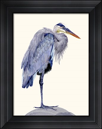Framed Heron Study II Print