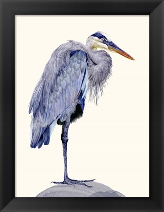 Framed Heron Study II Print