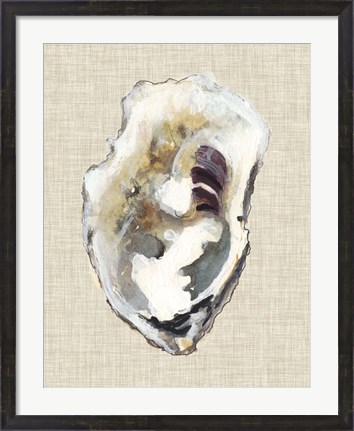Framed Oyster Shell Study I Print