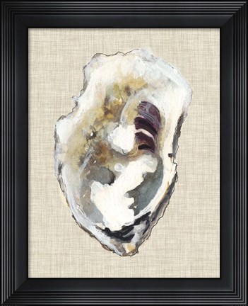 Framed Oyster Shell Study I Print