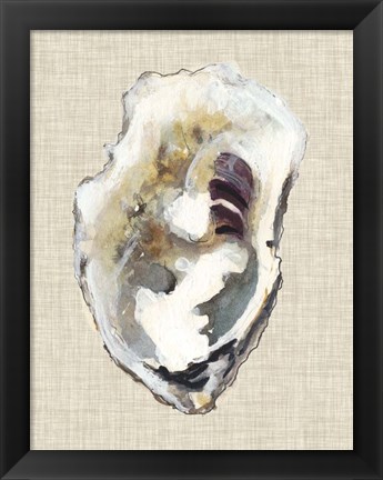 Framed Oyster Shell Study I Print