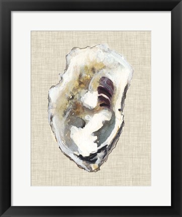 Framed Oyster Shell Study I Print