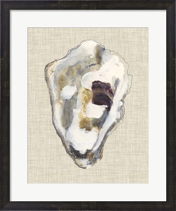 Framed Oyster Shell Study II Print