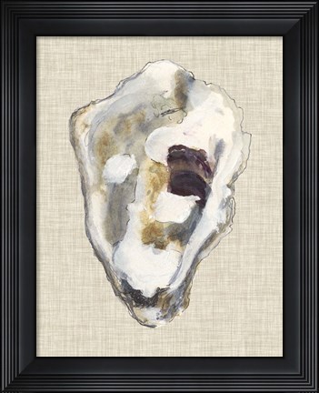 Framed Oyster Shell Study II Print