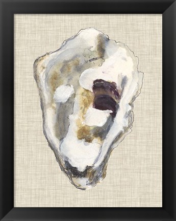 Framed Oyster Shell Study II Print