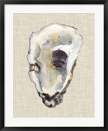 Framed Oyster Shell Study III Print