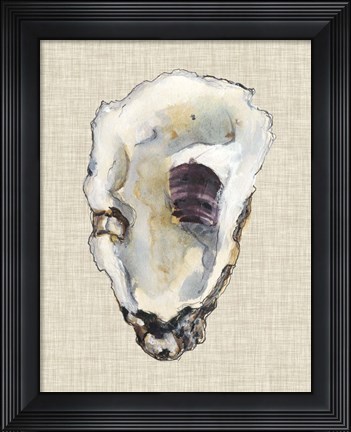 Framed Oyster Shell Study III Print