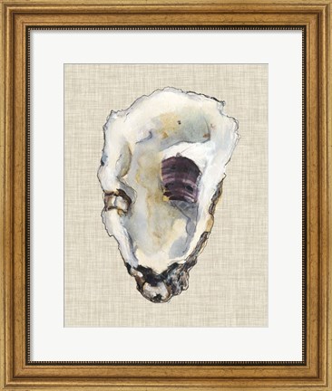 Framed Oyster Shell Study III Print