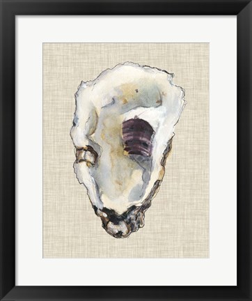 Framed Oyster Shell Study III Print