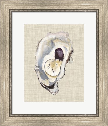 Framed Oyster Shell Study IV Print