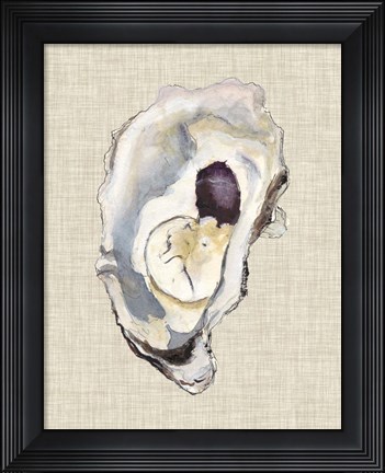 Framed Oyster Shell Study IV Print