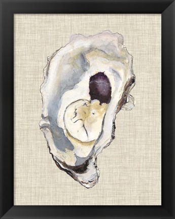 Framed Oyster Shell Study IV Print