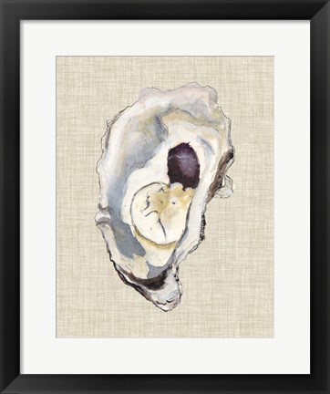 Framed Oyster Shell Study IV Print