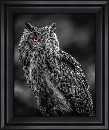 Framed Wise Owl 2  Black &amp; White Print