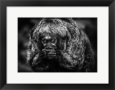 Framed Little Monkey Black &amp; White Print