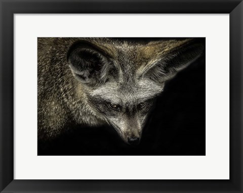 Framed Cute Fox with Big Ears Print