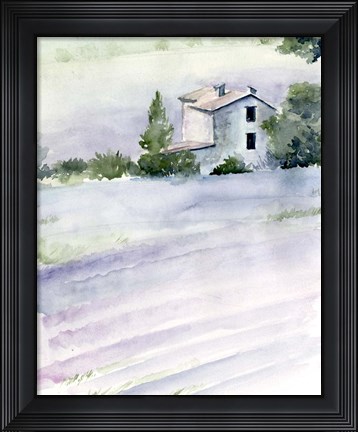 Framed Lavender Fields II Print