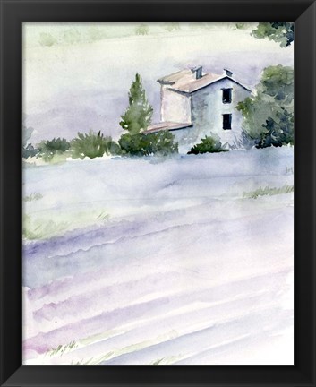 Framed Lavender Fields II Print