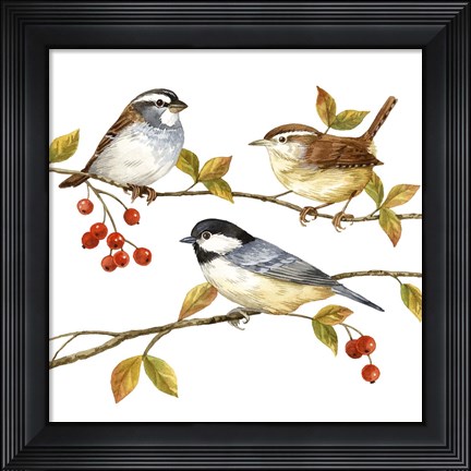 Framed Birds &amp; Berries I Print