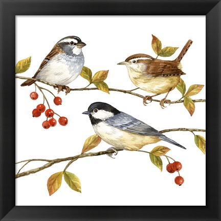 Framed Birds &amp; Berries I Print