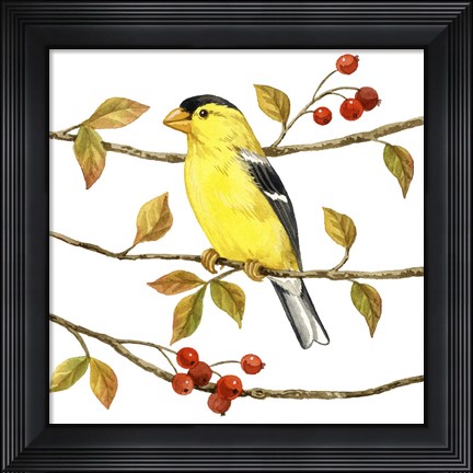 Framed Birds &amp; Berries II Print