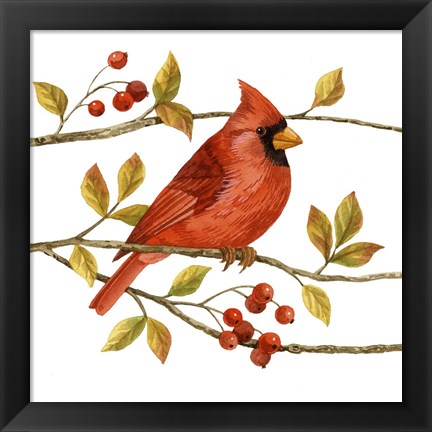 Framed Birds &amp; Berries III Print