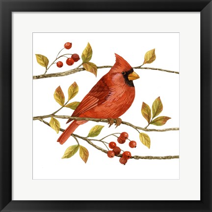 Framed Birds &amp; Berries III Print