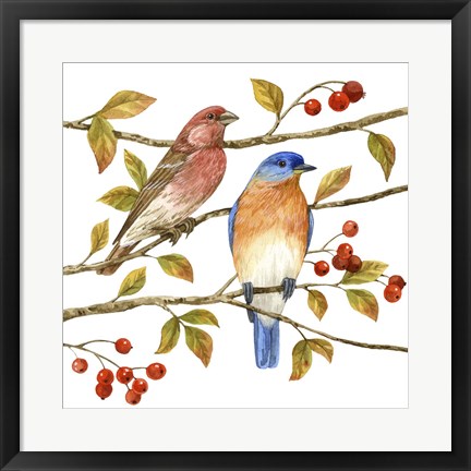 Framed Birds &amp; Berries IV Print