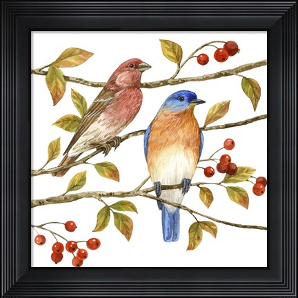 Framed Birds &amp; Berries IV Print