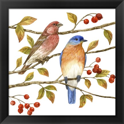 Framed Birds &amp; Berries IV Print