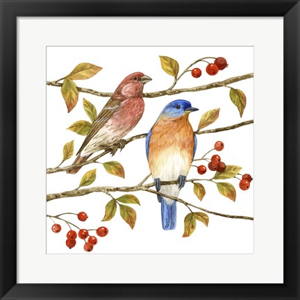 Framed Birds &amp; Berries IV Print