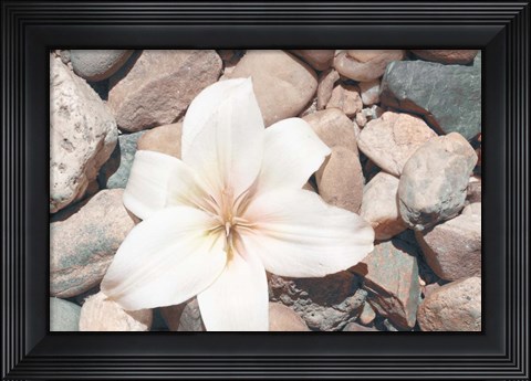 Framed Pebble Beach I Print