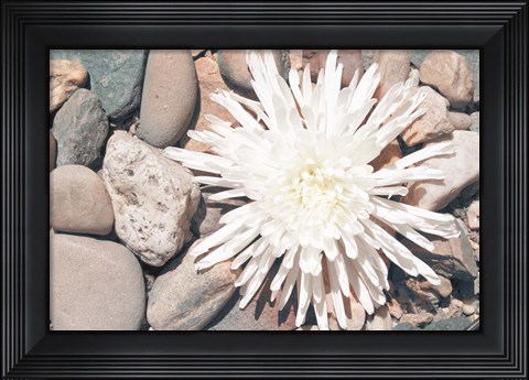 Framed Pebble Beach II Print