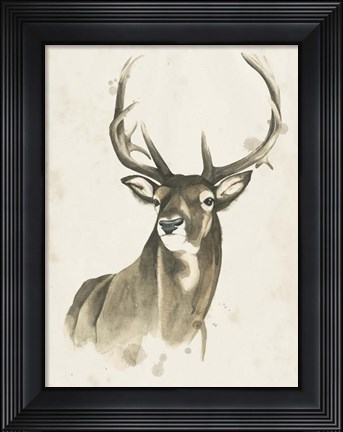 Framed Watchful Woods I Print