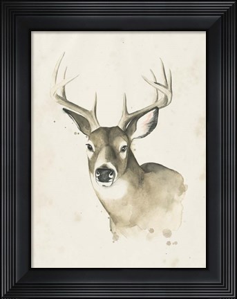 Framed Watchful Woods II Print