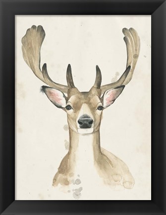 Framed Watchful Woods III Print