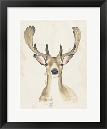 Framed Watchful Woods III Print