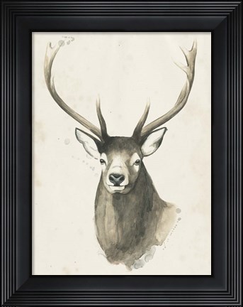 Framed Watchful Woods IV Print