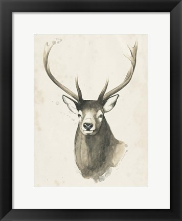 Framed Watchful Woods IV Print