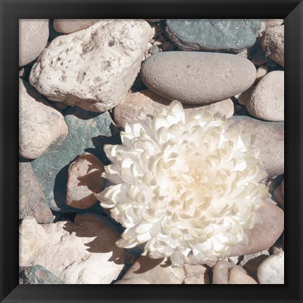 Framed Stone Crop II Print