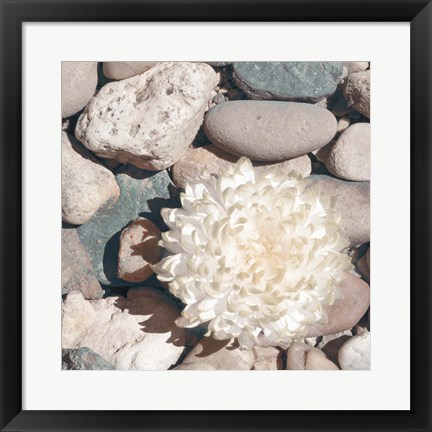 Framed Stone Crop II Print