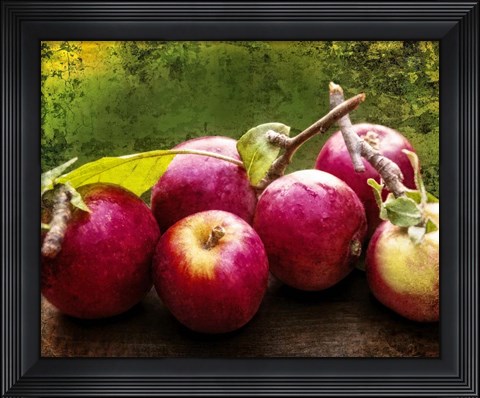 Framed Harvest I Print