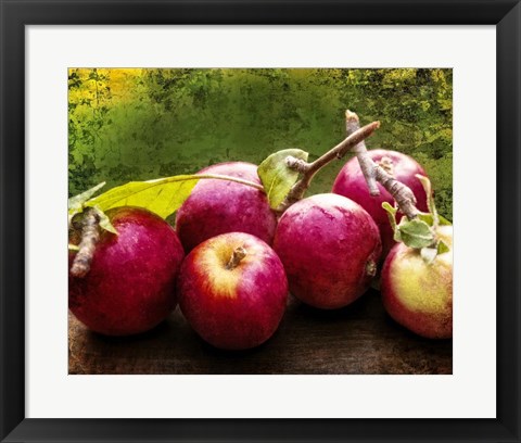 Framed Harvest I Print