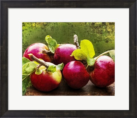 Framed Harvest II Print