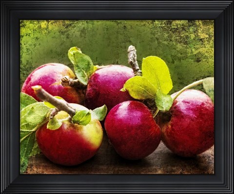 Framed Harvest II Print