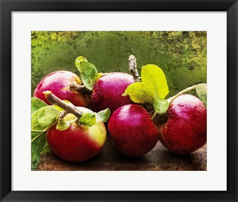 Framed Harvest II Print