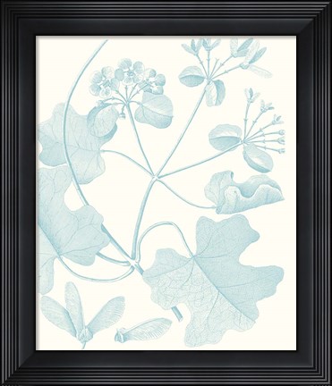 Framed Botanical Study in Spa II Print