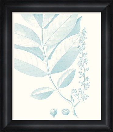 Framed Botanical Study in Spa VI Print
